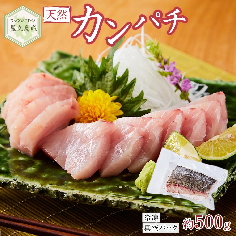 【ふるさと納税】屋久島産 天然カンパチ 約500g ブロック 冷凍 真空パック | カンパチ 魚 さかな 刺し身 刺身 さしみ 魚介 海鮮 海鮮丼 海の幸 冷凍 お取り寄せ グルメ 人気 おすすめ お楽しみ 屋久島 屋久島町 鹿児島県