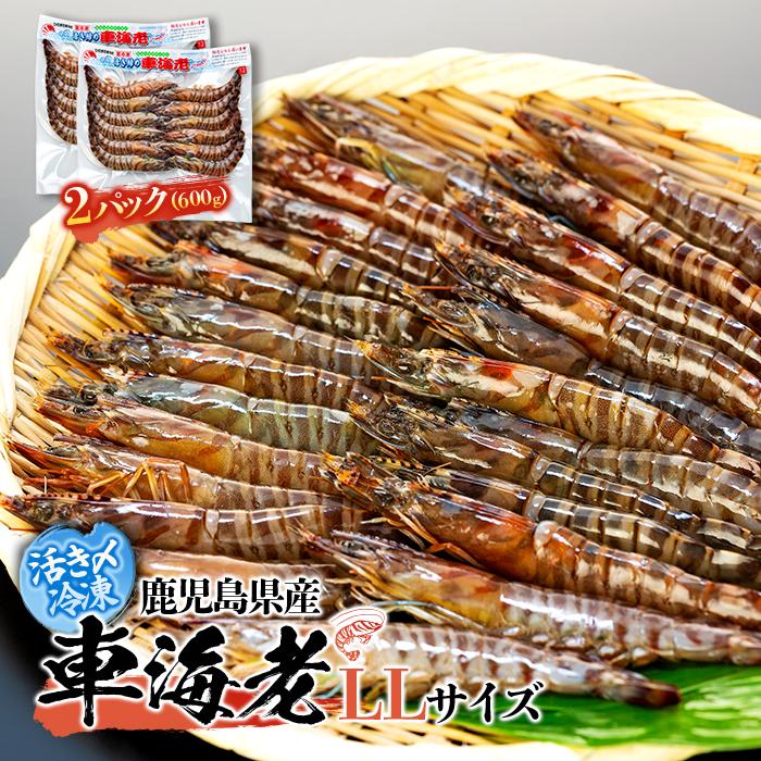 【ふるさと納税】鹿児島県産 活き〆冷凍 車海老（養殖）LLサイズ 計600g（300g 10～12尾×2パック）セット | エビ 海老 送料無料 屋久島 屋久島町 鹿児島 鹿児島県 九州 海鮮 エビフライ エビチリ 魚介類 冷凍 お取り寄せ オススメ