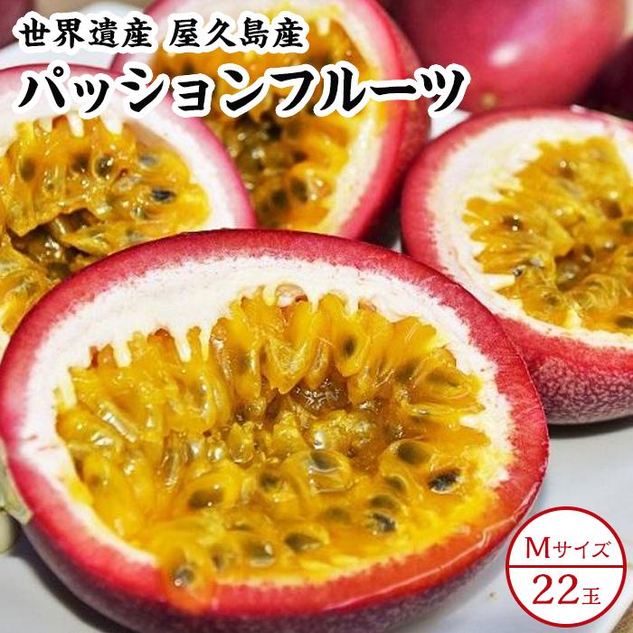 【ふるさと納税】【2025年発送先行受付】絶品パッションフルーツM玉(22玉)“屋久島の恵み”と“愛情”込めて！ | 鹿児島 屋久島町 お取り寄せ ご当地 パッションフルーツ フルーツ 果物 くだもの 先行受付 先行予約 期間限定 数量限定