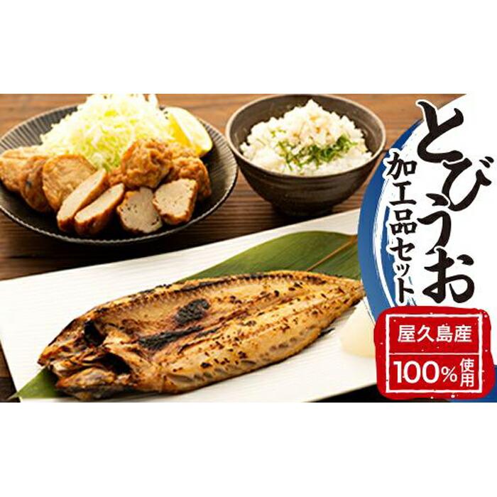 【ふるさと納税】漁協直営！屋久島産 とびうお加工品セット