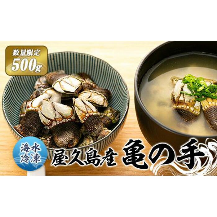 【ふるさと納税】【数量限定】屋久島産「亀の手」500g【海水で冷凍】 7,100円