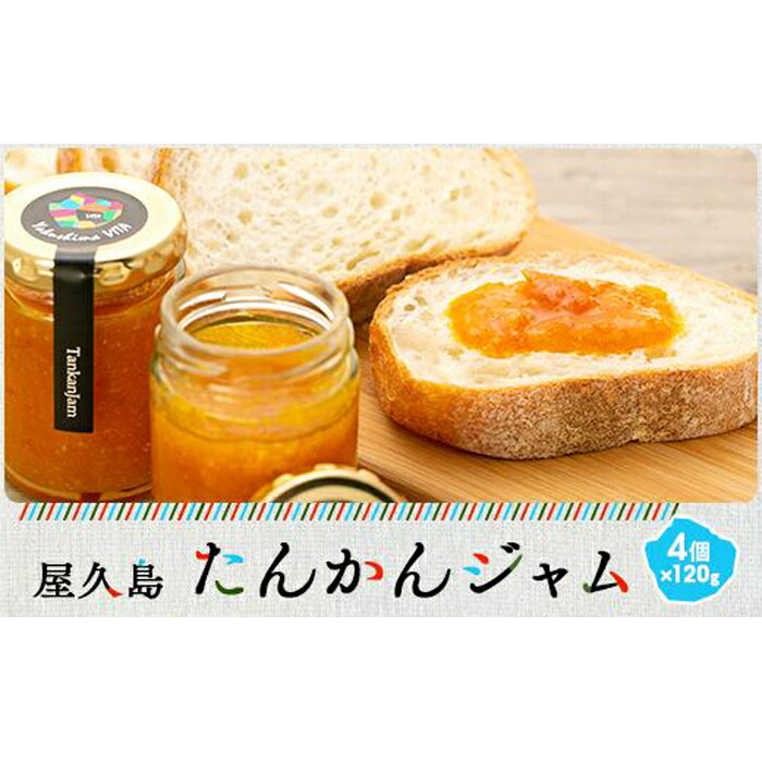 【ふるさと納税】屋久島たんかんジャム４個セット