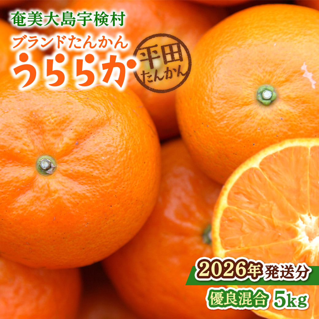 【ふるさと納税】【予約・数量限定※2026年発送分】完熟  ブランド たんかん 5kg L 2L サイズ 優品 良品 平田たんかん倶楽部 柑橘 みかん 奄美 宇検村 国産 光センサー 果物 奄美のみかん 厳選 糖度10度以上 甘い 数量 期間 限定 鹿児島 プレゼント ギフト 家庭用