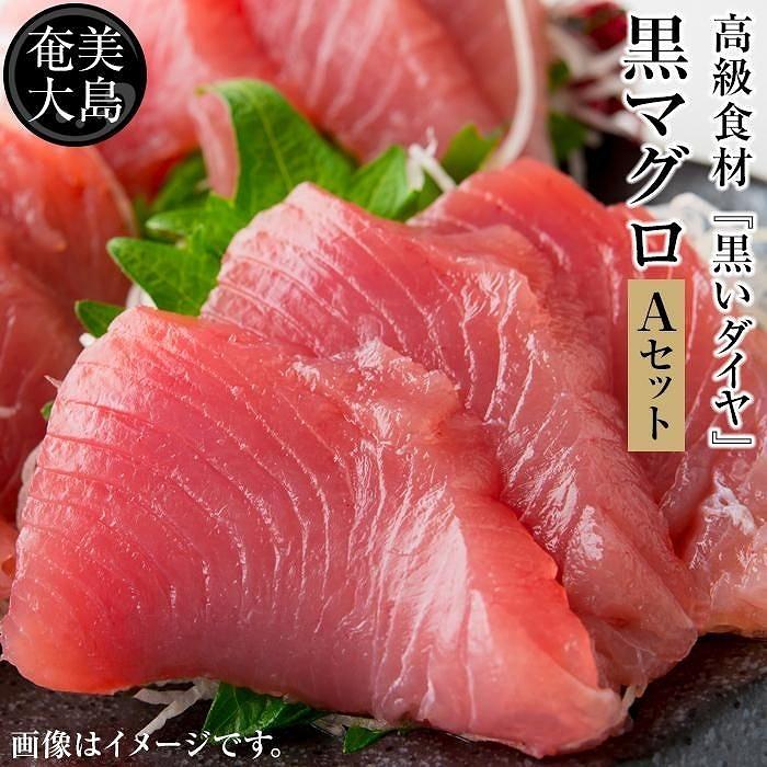 【ふるさと納税】鹿児島県奄美大島産高級食材『黒いダイヤ』黒マグロ　Aセット | 400g 奄美 奄美大島 マグロ 鮪 瀬戸内町 鹿児島 鹿児島県 九州 海鮮 送料無料 魚介類 中トロ おすすめ  加計呂麻島 塩 お取り寄せ