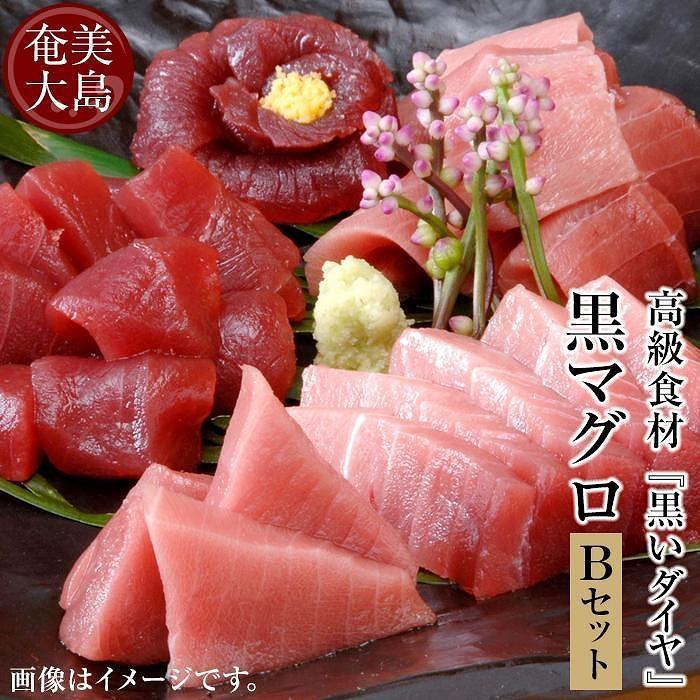 【ふるさと納税】鹿児島県奄美大島産高級食材『黒いダイヤ』黒マグロ　Bセット | 600g 奄美 奄美大島 マグロ 鮪 瀬戸内町 鹿児島 鹿児島県 九州 海鮮 送料無料 魚介類 大トロ 中トロ おすすめ  加計呂麻島 塩 お取り寄せ