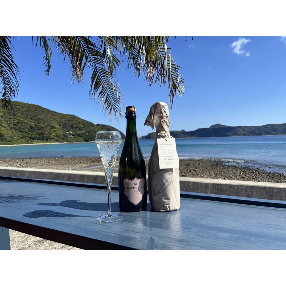 【ふるさと納税】tlass SEA CELLAR -2025 2nd Edition- 海底熟成前後飲み比べスパークリング 750ml&times;2本｜鹿児島県瀬戸内町