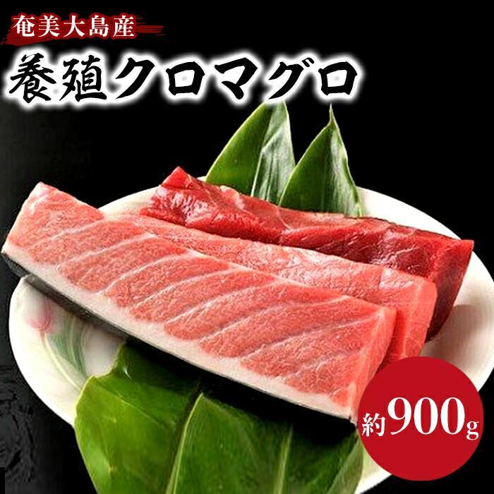 【ふるさと納税】奄美大島産養殖クロマグロ 4柵セット 900g以上 大トロ 中トロ 赤身 冷凍 | マグロ 約900g 4柵 鮪 刺身 養殖 海鮮丼 手巻き寿司 魚介類  海鮮 高級 お取り寄せ グルメ ギフト おつまみ 鹿児島県 瀬戸内町 黒マグロ 送料無料 瀬戸内 奄美 奄美大島 鹿児島 九州