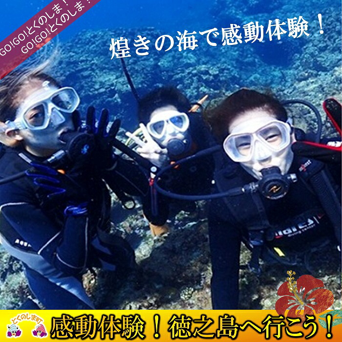 【ふるさと納税】～さぁ徳之島の海へ旅しよう～ダイビング体験（半日）｜鹿児島県徳之島町