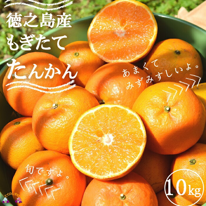楽天市場】【ふるさと納税】【2026年先行予約】 奄美大島産 おいしい