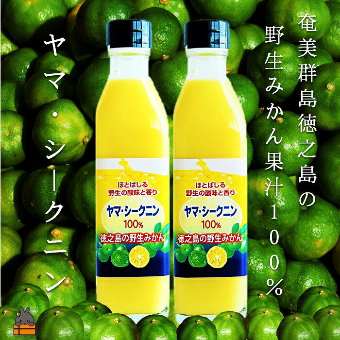 【再値下げ】関口コオ作品 からっ風の子守唄の表紙にもなった作品45/210 値下げ】関口コオ作品 からっ風の子守唄の表紙にもなった作品45/210