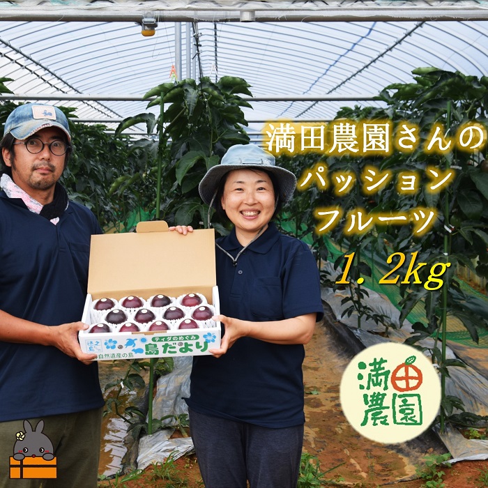 【ふるさと納税】《先行予約》満田(みつだ)農園さんのパッションフルーツ（約1.2kg）( 果物 フルーツ 酸味 甘み プチプチ 徳之島 奄美 鹿児島 美味しい 旬 南の島 世界自然遺産 みつだ農園 )