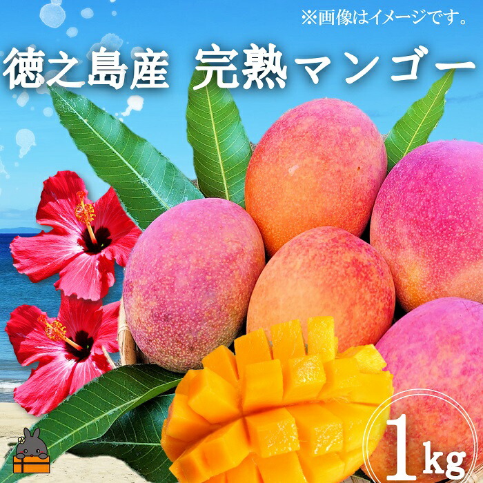 【ふるさと納税】≪先行予約≫てぃだ（太陽）を浴びて育った徳之島産完熟マンゴー（1kg）( マンゴー フルーツ 果物 完熟 無加温 徳之島 世界自然遺産 美味しい とろける 旬 贅沢 糖度 南の島 )