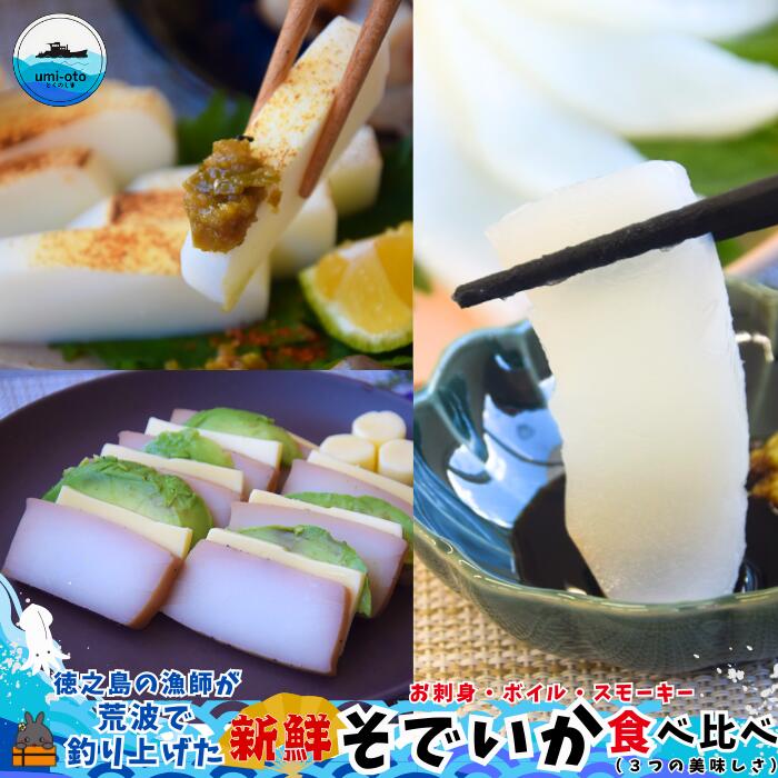 【ふるさと納税】徳之島の漁師が荒波で釣り上げたそでいか 食べ比べ お刺身・ボイル・スモーキー （ ３つの美味しさ ソデイカ いか イカ 大型のいか 回遊 お刺身 甘い ねっとり 冷凍 新鮮 お寿司 料理 徳之島 奄美 沖縄 鹿児島 海鮮 umi-otoとくのしま ）