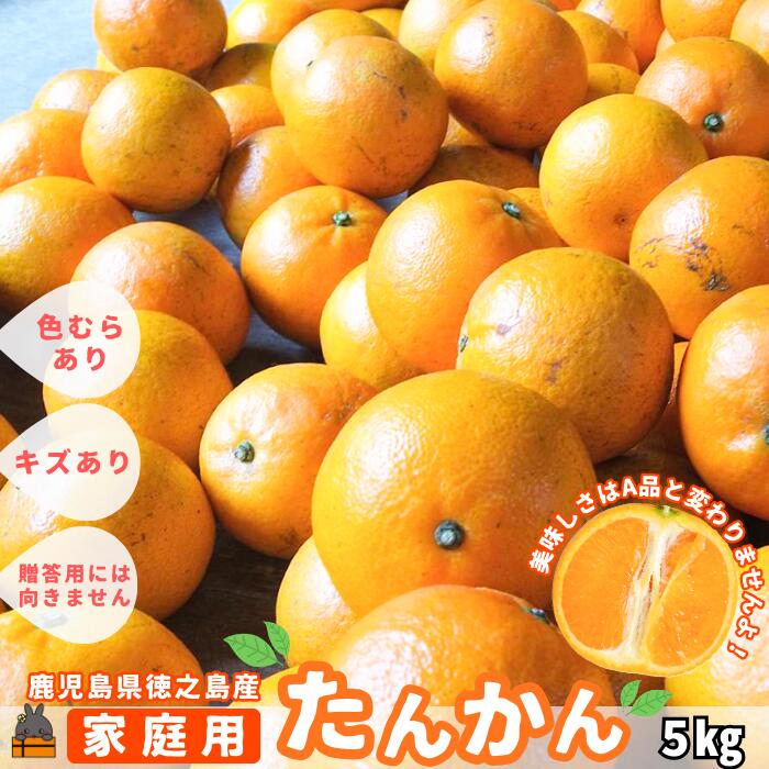 楽天市場】【ふるさと納税】【期間限定】＜先行予約受付中！2026年2月