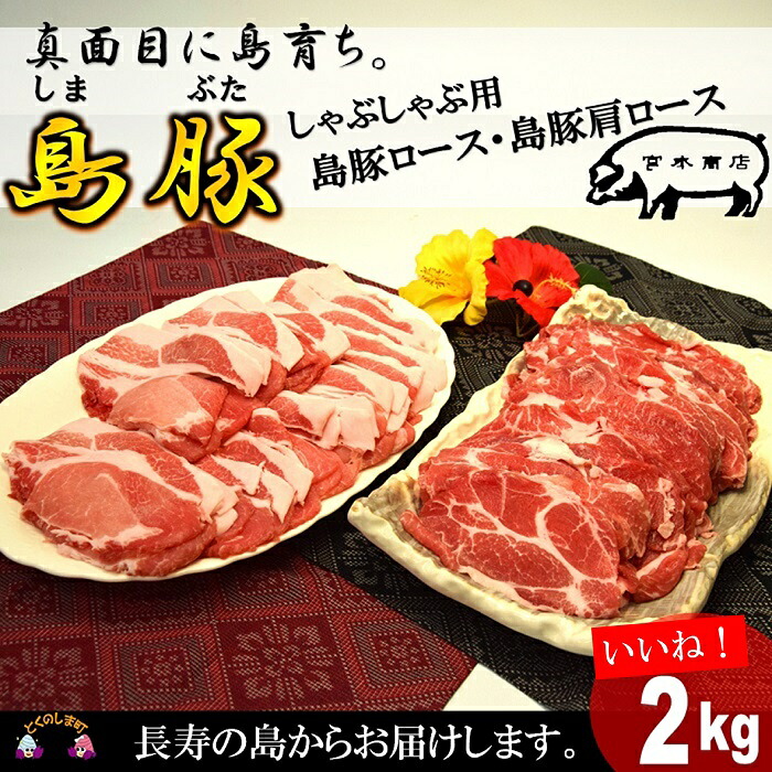 【ふるさと納税】～真面目に島育ち～徳之島の島豚セットE（しゃぶしゃぶ用ロースと肩ロース）