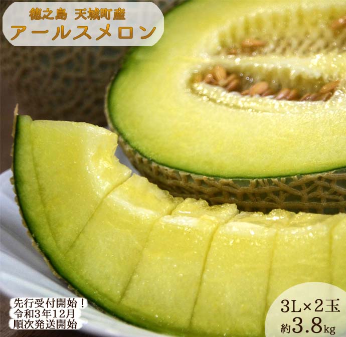 ふるさと納税 鹿児島県天城町産 農家直送 アールスメロン 3l 2玉 果物 フルーツ 先行受付 12月発送 Agoranotizia It