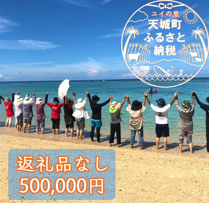 【ふるさと納税】天城町 への寄付 （1口： 500,000円 ）鹿児島 徳之島 天城町 寄附 応援 支援 寄付のみ 返礼品なし｜鹿児島県天城町