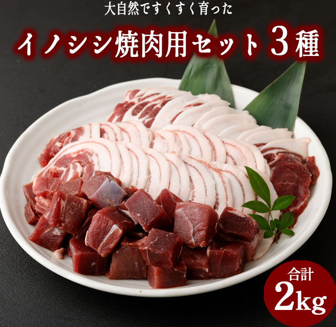 【ふるさと納税】イノシシ焼肉用セット 合計2kg 3種 ( ローススライス バラスライス モモ サイコロカット ) ジビエ イノシシ いのしし 肉 猪肉 スライス サイコロカット 焼肉 BBQ 冷凍 天城町産 鹿児島 九州 国産 送料無料