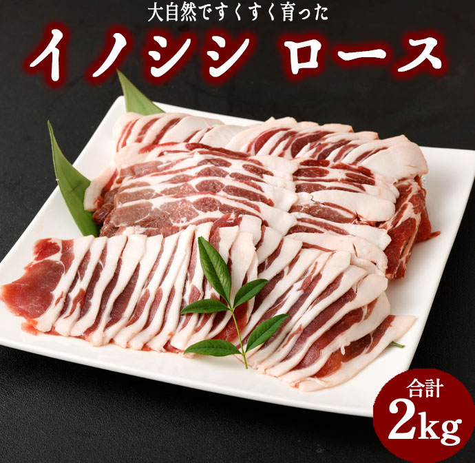 【ふるさと納税】大自然ですくすく育ったあまぎのやましし ローススライス 合計2kg ジビエ イノシシ いのしし 肉 猪肉 ロース スライス しゃぶしゃぶ 鍋 焼肉 冷凍 天城町産 鹿児島 九州 国産 送料無料