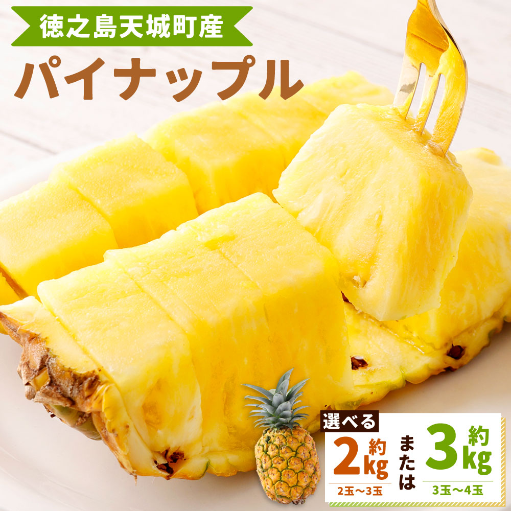 【ふるさと納税】徳之島 天城町産 パイナップル ＜選べる＞ 約2kg 約3kg スムースカイエン パイン フルーツ 南国 果物 くだもの 国産 九州 鹿児島 冷蔵 送料無料