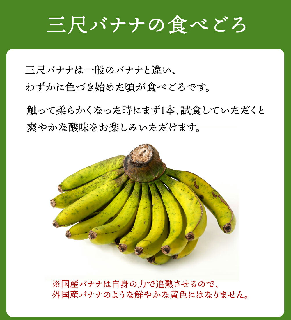 ふるさと納税 徳之島産 三尺バナナ 5kg 2房 4房 フルーツ 果物 バナナ ばなな 南国フルーツ くだもの 九州産 国産 送料無料 Mavipconstrutora Com Br