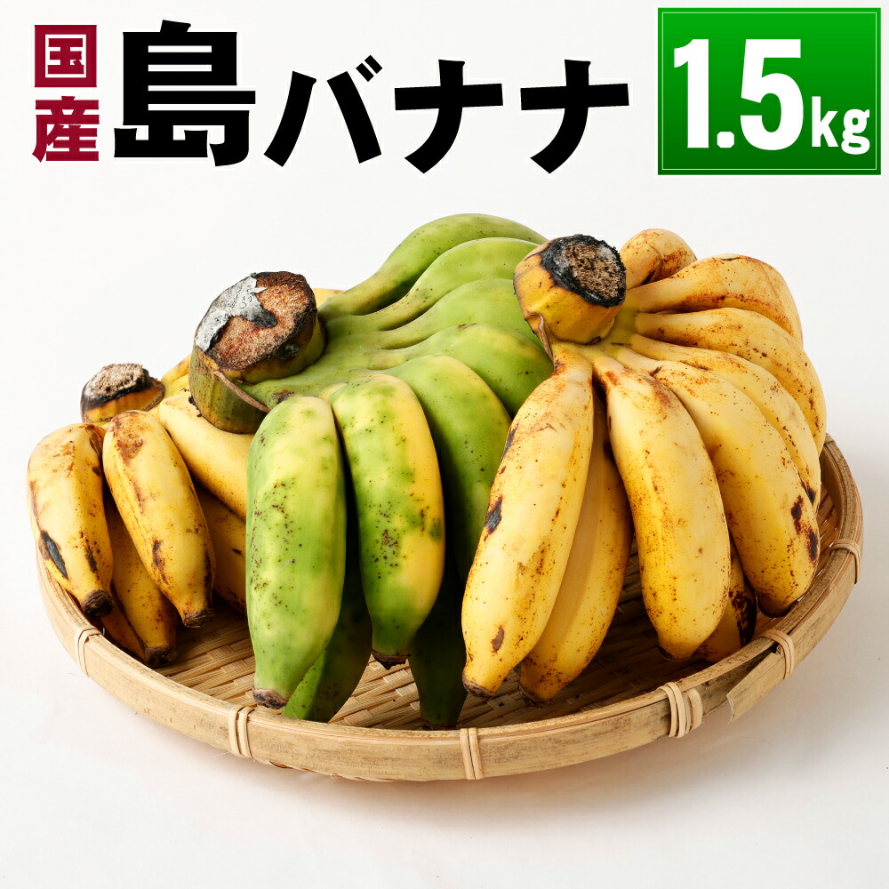 ふるさと納税 伊仙町 貞さんの島バナナ約3kg ふるさと納税 伊仙町 貞さんの島バナナ約3kg