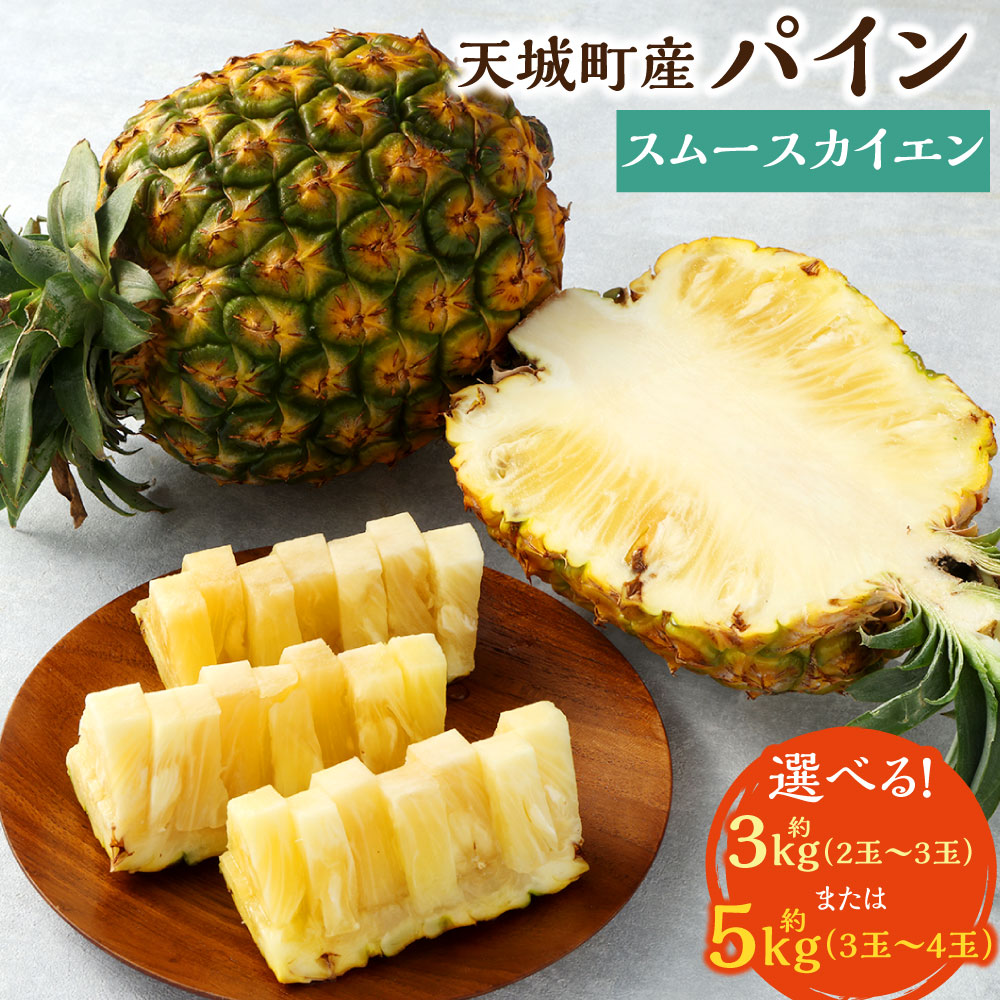 【ふるさと納税】【2025年発送】天城町産 パイン ＜選べる＞ 約3kg 2～3玉 約5kg 3～4玉 パイナップル スムースカイエン フルーツ 南国 果物 くだもの 国産 九州 鹿児島 林果樹園 冷蔵 送料無料