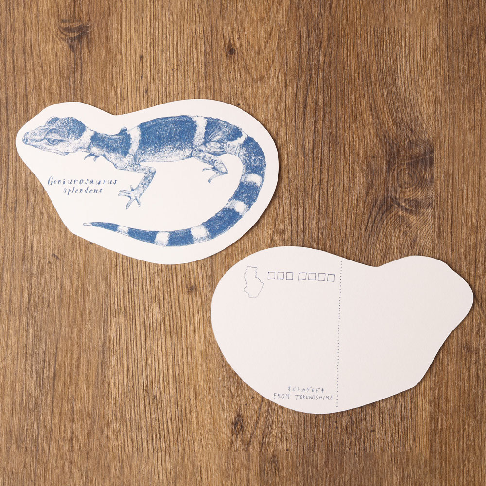 手作りポストカード 3種類 5枚セット 合計15枚 ポストカード 鹿児島県 雑貨 はがき ハガキ 絵葉書 アート 動物 絵はがき 天城町 送料無料 デザイン アニマル おしゃれ イラスト インテリア