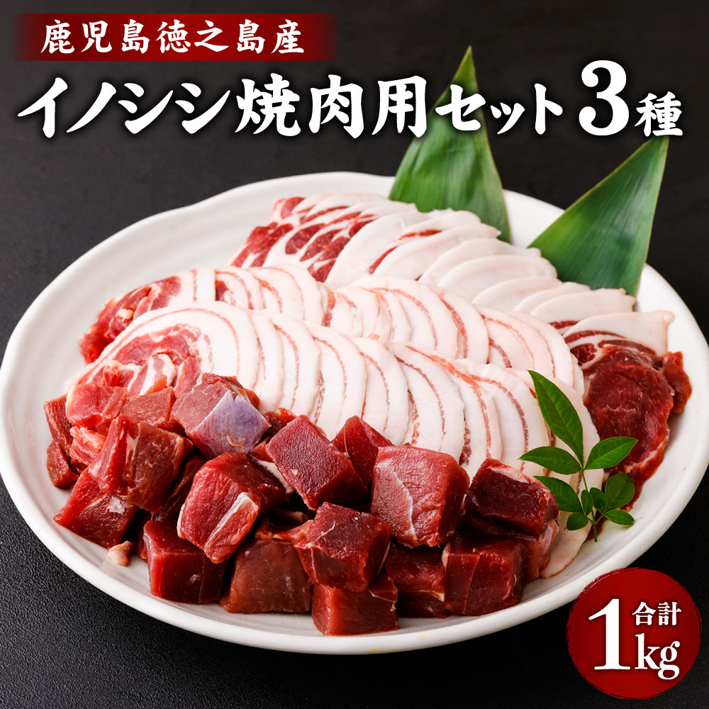 【ふるさと納税】イノシシ焼肉用セット 合計1kg 3種 ( ローススライス バラスライス モモ サイコロカット ) ジビエ イノシシ いのしし 肉 猪肉 スライス サイコロカット 焼肉 BBQ 冷凍 天城町産 鹿児島 九州 国産 送料無料 AI-16-N