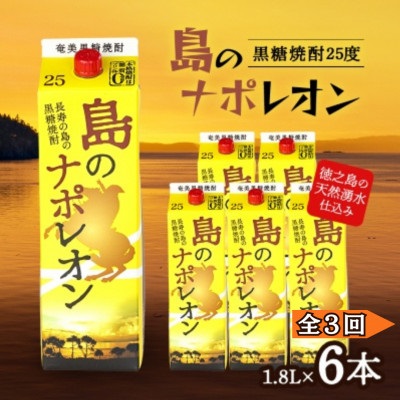 【ふるさと納税】【毎月定期便】奄美黒糖焼酎 島のナポレオン 1,800ml 紙パック 6本セット全3回|徳之島伊仙町