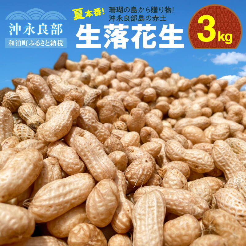 【ふるさと納税】夏本番！珊瑚の島から贈り物！沖永良部島の赤土 生落花生 3kg！【7月後半～9月上旬】約600個 ジーマミー 地豆 国産 冷蔵 南国 九州 ソールフード 塩茹で つまみ おやつ クール便 夏の塩分補給 村山農産 鹿児島 和泊町 おすすめ ランキング プレゼント ギフト｜鹿児島県和泊町