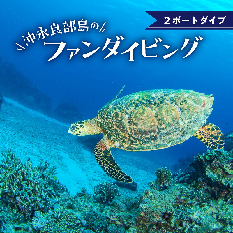 【ふるさと納税】沖永良部島 ファンダイビング 1名様分 Cカード所持者 限定 2ボートダイブ フロート タンク ウェイト ガイド 保険 乗船 施設使用 ドリンク 込み ダイビング アクティビティ 海 チケット 引換券 リゾート 体験 海 アウトドア 南国 鹿児島県 和泊町 送料無料|鹿児島県和泊町