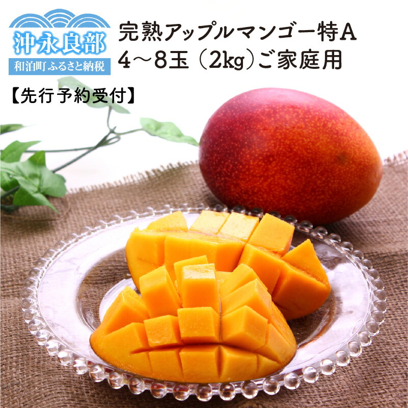 楽天市場 ふるさと納税 数量限定 訳あり 先行予約受付 田中マンゴー園の完熟アップルマンゴー4 8玉で2kg ご家庭用 鹿児島県和泊町