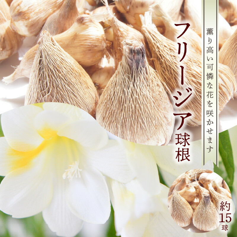 沖永良部島の面倒を見る者が選ぶ！一般受けしっぺい返し品度合いTOP10