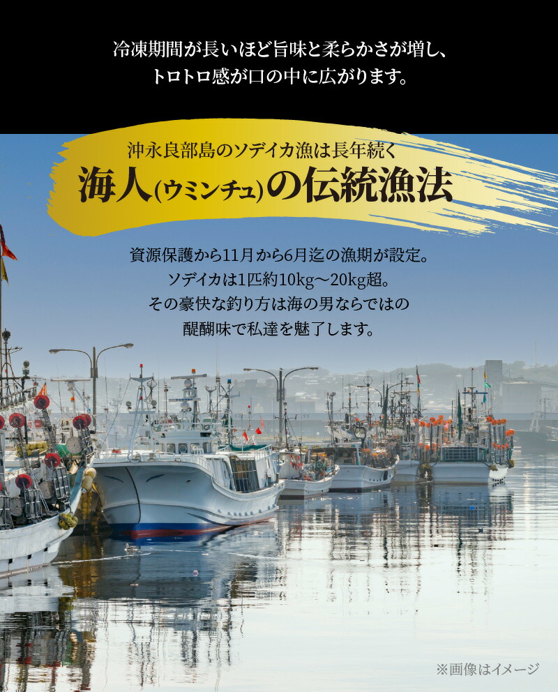 人気ブランド 楽天市場 ふるさと納税 ソデイカ 刺身用ブロック 1kg 鹿児島県和泊町 全日本送料無料 Blog Belasartes Br