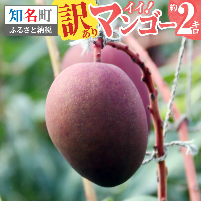 ふるさと納税 026 04 伊井マンゴー園の訳あり完熟マンゴー ご家庭用 約2キロ 5 9玉 Irondiner Deutschland De