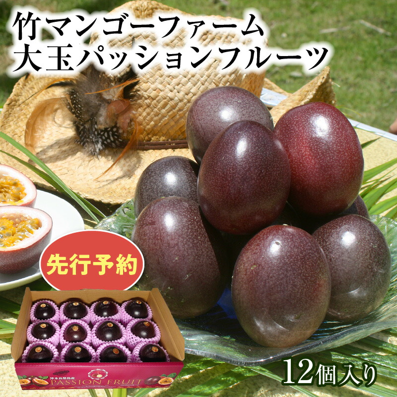【ふるさと納税】【2025年先行予約】 大玉 パッションフルーツ 1.2kg 12個 竹マンゴーファーム パッション フルーツ 果物 予約 数量 期間 限定 南国 化粧箱 大きい 甘い 酸味 アイス ヨーグルト 鹿児島 知名町 沖永良部島 沖永良部 おすすめ ランキング プレゼント ギフト