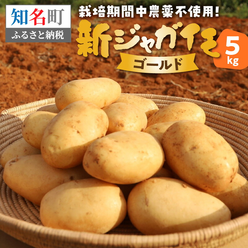 【ふるさと納税】【2026年先行予約】新ジャガイモ 5kg 4月お届け ゴールド 農薬不使用 じゃがいも 芋 新じゃが 野菜 根菜 ほっかいこがね 予約 期間 数量 限定 ホクホク 煮崩れしにくい 万能 Rin管理システム 鹿児島 知名町 おすすめ ランキング プレゼント ギフト