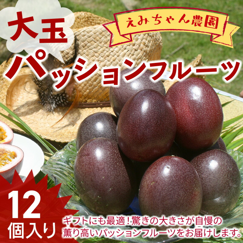 ふるさと納税 8 04 えみお父ちゃん栽培所 大玉熱りフルーツ 12個入用 Daemlu Cl