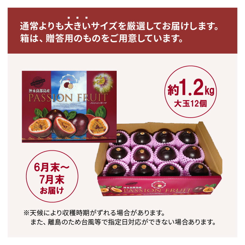 ふるさと納税 8 04 えみお父ちゃん栽培所 大玉熱りフルーツ 12個入用 Daemlu Cl