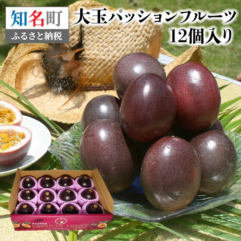 【ふるさと納税】【2025年先行予約】 大玉 パッションフルーツ 1.2kg 12個 えみちゃん農園 パッション フルーツ 果物 果実 予約 数量 期間 限定 南国 化粧箱 大きい 甘い 酸味 アイス ヨーグルト 鹿児島 知名町 沖永良部島 沖永良部 おすすめ ランキング プレゼント ギフト