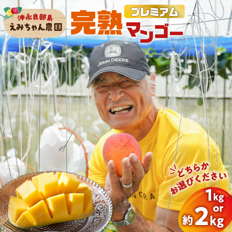 【ふるさと納税】【2026年先行予約】＜選べる＞ プレミアム 完熟マンゴー 1kg or 2kg 大玉 2個 or 4個 えみちゃん農園 マンゴー フルーツ 果物 果実 先行予約 数量 期間 限定 完熟 南国 化粧箱 鹿児島 知名町 沖永良部島 沖永良部 おすすめ ランキング プレゼント ギフト
