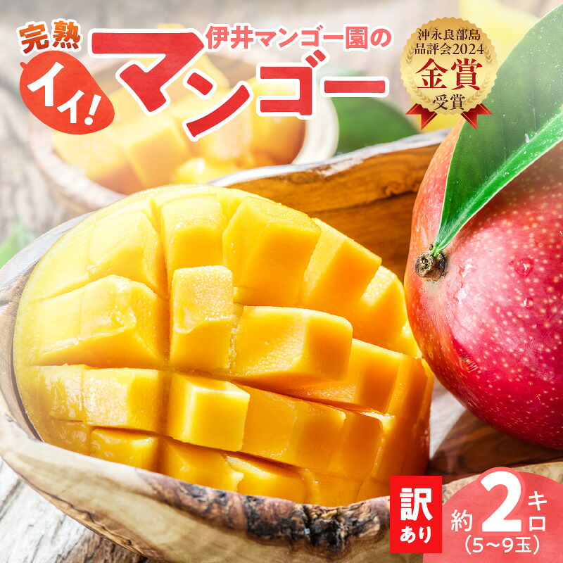 【ふるさと納税】【2026年先行予約】 訳あり 完熟マンゴー 2kg 5玉 ～ 9玉 ご家庭用 伊井マンゴー園 わけあり 規格外 マンゴー フルーツ 果物 果実 先行予約 数量 期間 限定 完熟 南国 金賞 鹿児島 知名町 沖永良部島 沖永良部 おすすめ ランキング プレゼント ギフト