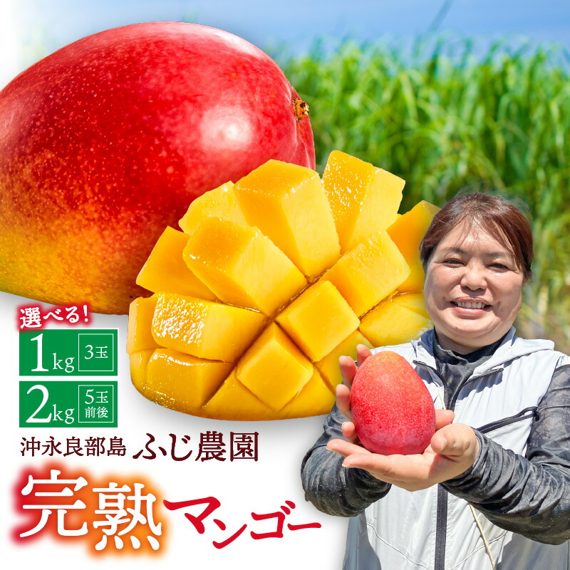 【ふるさと納税】【2026年先行予約】＜選べる＞ 完熟マンゴー 1kg or 2kg ふじ農園 マンゴー 果物 フルーツ 果実 期間 数量 限定 先行予約 無加温栽培 オリジナル堆肥 贅沢 冷蔵 ふるさと納税 鹿児島 知名町 沖永良部島 沖永良部 おすすめ ランキング プレゼント ギフト