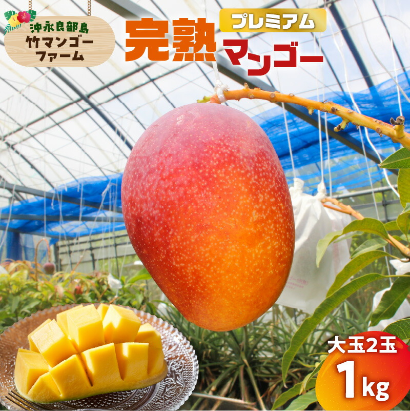 【ふるさと納税】【2026年先行予約】 プレミアム 完熟マンゴー 1kg 大玉 2個 竹マンゴーファーム マンゴー フルーツ 果物 果実 先行予約 数量 期間 限定 完熟 南国 化粧箱 厳選 甘い 採れたて 大きい 無加温 鹿児島 知名町 沖永良部 おすすめ ランキング プレゼント ギフト