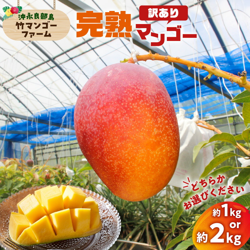【ふるさと納税】【2026年先行予約】＜選べる＞ 訳あり 完熟マンゴー 1kg or 2kg 家庭用 わけあり 規格外 竹マンゴーファーム マンゴー フルーツ 果物 果実 予約 数量 期間 限定 完熟 南国 無加温 甘い 自宅用 鹿児島 知名町 沖永良部 おすすめ ランキング プレゼント ギフト