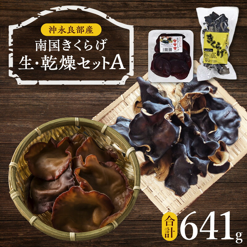 【ふるさと納税】南国きくらげ 生・乾燥 セットA きくらげ キクラゲ 有機成分 ミネラル 歯ごたえ 肉厚 バガス 野菜 沖永良部産 生きくらげ 生キクラゲ 乾燥きくらげ 料理 中華炒め 中華スープ 美味しい 南国きのこ苑 鹿児島 知名町 おすすめ ランキング プレゼント ギフト