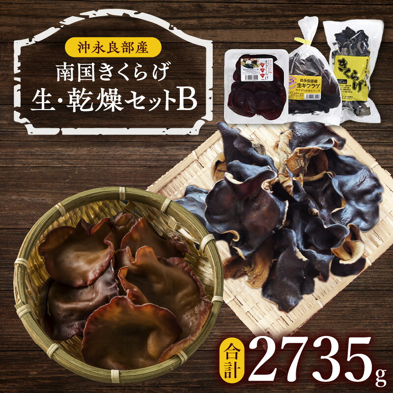 【ふるさと納税】南国きくらげ 生・乾燥 セットB きくらげ キクラゲ 有機成分 ミネラル 歯ごたえ 肉厚 バガス 野菜 沖永良部産 生きくらげ 生キクラゲ 乾燥きくらげ 料理 中華炒め 中華スープ 美味しい 南国きのこ苑 鹿児島 知名町 おすすめ ランキング プレゼント ギフト｜鹿児島県知名町