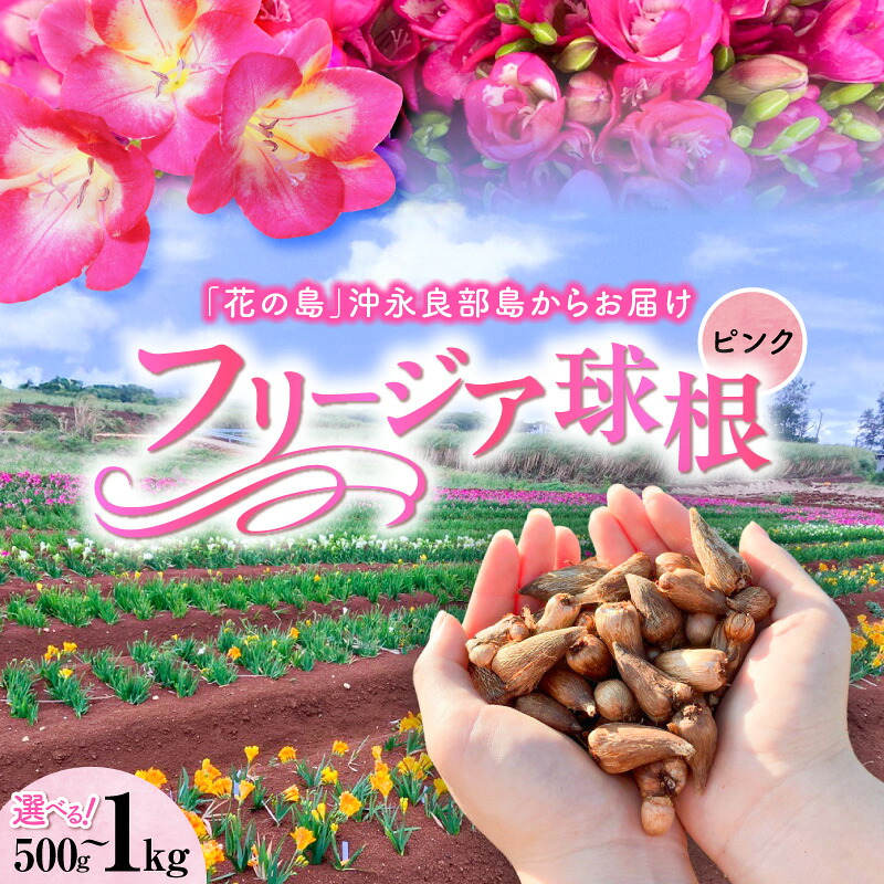 年内は献ずるだけ！後ほどからじっくり選べる【後ほどから選りわける】