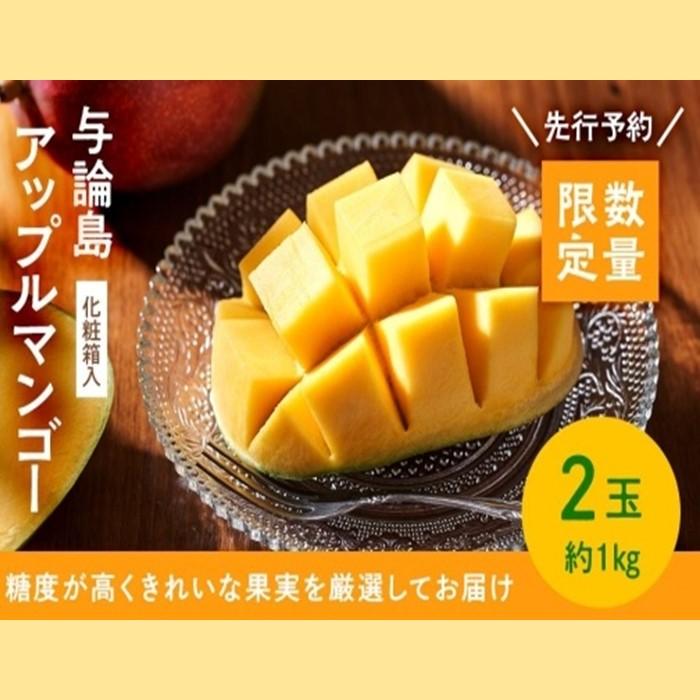 【ふるさと納税】【数量限定】鹿児島 与論島アップルマンゴー特A秀品大玉２個約１キロ 化粧箱入り【先行予約】 | 果物 アップルマンゴー アーウイン マンゴー フルーツ ご当地 グルメ 人気 おすすめ 送料無料 与論 与論島 ヨロン 鹿児島県 九州